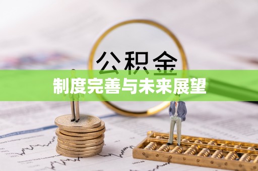 浚县制度完善与未来展望
