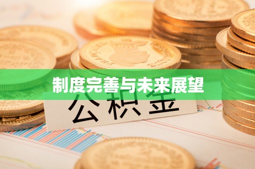 浚县制度完善与未来展望