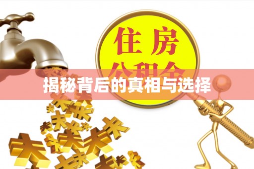 浚县揭秘背后的真相与选择